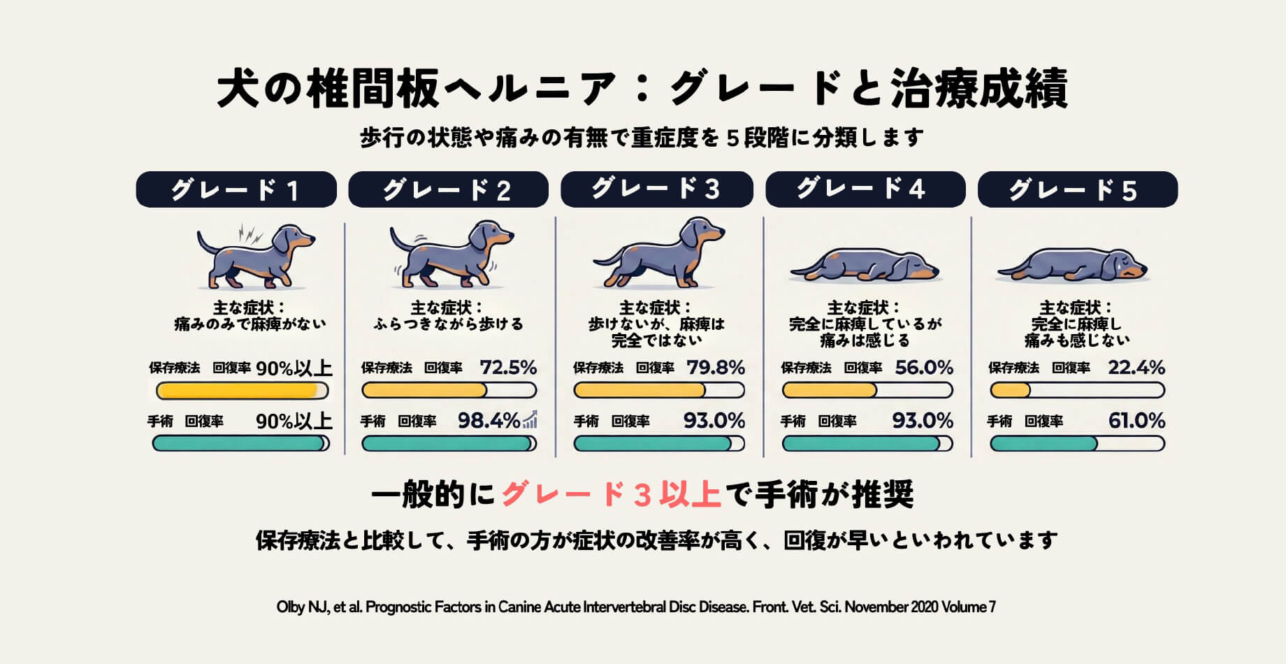 犬の椎間板ヘルニアとは？