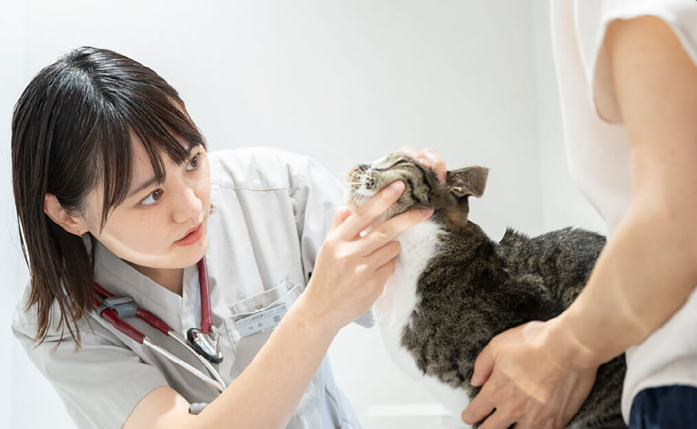 かかりつけ医との連携を重視。治療後は原則お返しします