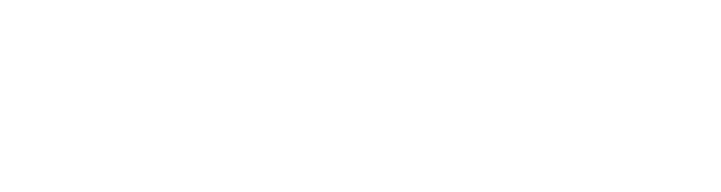 ウィズマル動物医療センター立川院でのCT活用法のご紹介