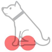 整形外科