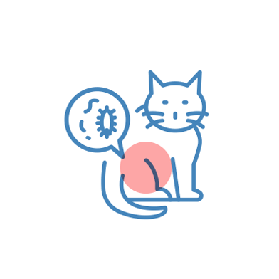 泌尿・生殖器科