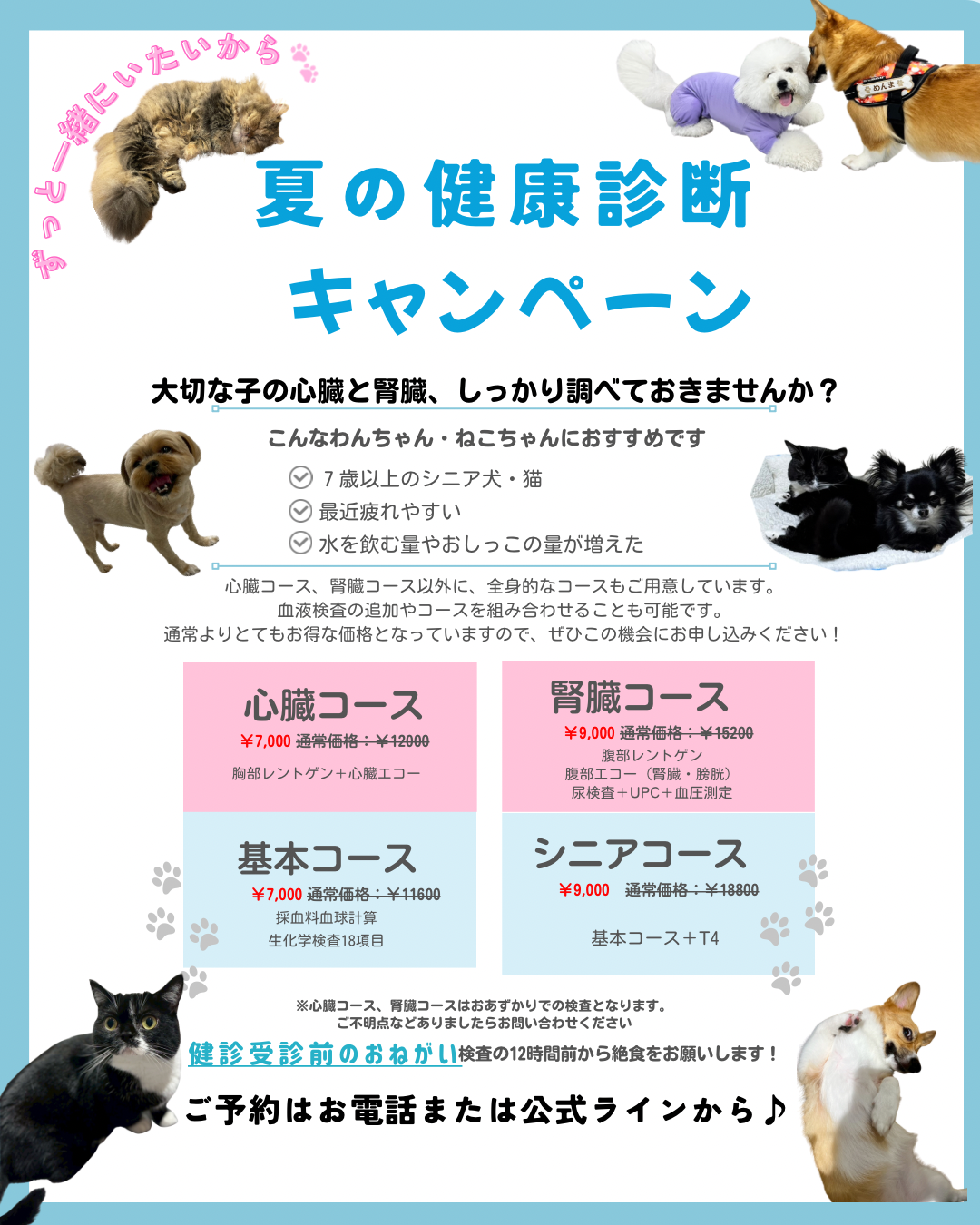 夏の健康診断キャンペーンを開催します🍉