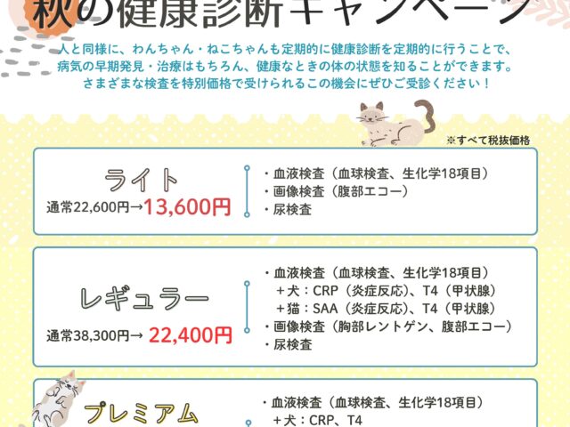 健康診断キャンペーン開催中🐶🐈