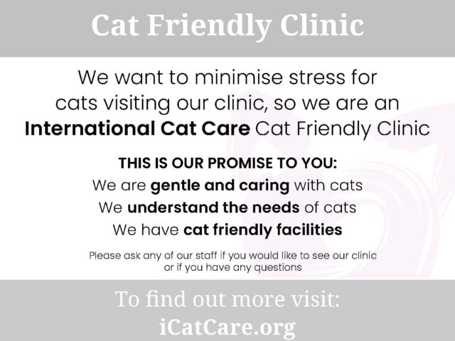 CFCシルバー認証を受けました