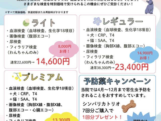 🌷健康診断キャンペーンはじまりました🌸