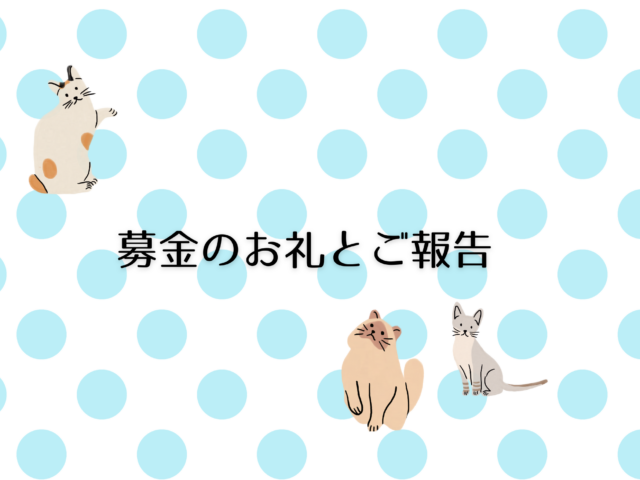 募金のお礼とご報告