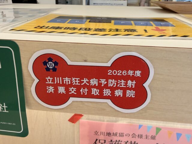 狂犬病予防接種がはじまります🌸