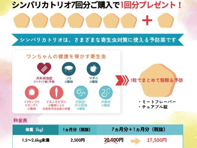 予防薬がお得なキャンペーン開催中！
