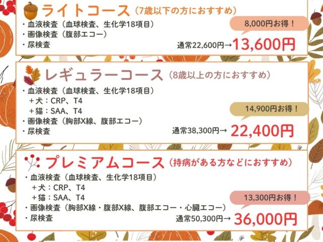秋の健診キャンペーンがはじまります🍂